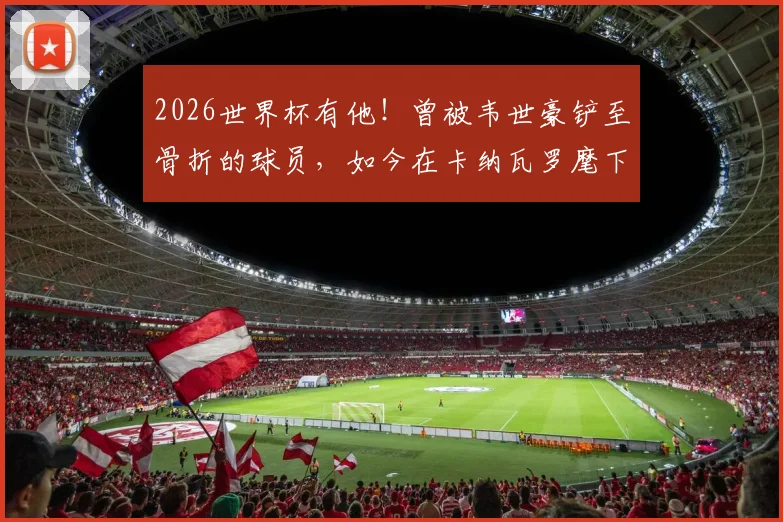 2026世界杯有他！曾被韦世豪铲至骨折的球员，如今在卡纳瓦罗麾下证明自己