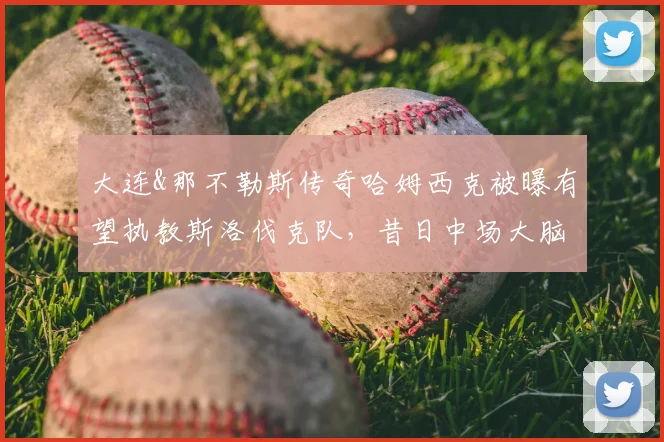 大连&那不勒斯传奇哈姆西克被曝有望执教斯洛伐克队,昔日中场大脑转型主帅前景几何?附2026年欧国联备战分析
