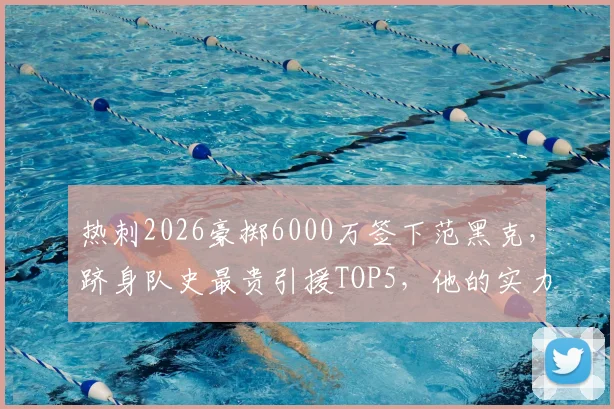 热刺2026豪掷6000万签下范黑克，跻身队史最贵引援TOP5，他的实力与位置解析